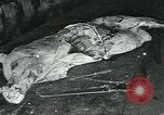 Standbild Meat Packing industry United States USA, 1922, aus Sekunde 26 historischem Filmmaterial Videoclip 65675057879