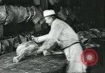 Standbild Meat Packing industry United States USA, 1922, aus Sekunde 28 historischem Filmmaterial Videoclip 65675057879