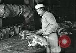 Standbild Meat Packing industry United States USA, 1922, aus Sekunde 32 historischem Filmmaterial Videoclip 65675057879