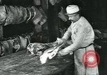 Standbild Meat Packing industry United States USA, 1922, aus Sekunde 37 historischem Filmmaterial Videoclip 65675057879