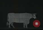 Standbild Meat Packing industry United States USA, 1922, aus Sekunde 59 historischem Filmmaterial Videoclip 65675057879