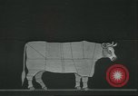 Standbild Meat Packing industry United States USA, 1922, aus Sekunde 60 historischem Filmmaterial Videoclip 65675057879