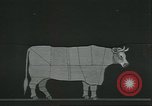 Standbild Meat Packing industry United States USA, 1922, aus Sekunde 61 historischem Filmmaterial Videoclip 65675057879