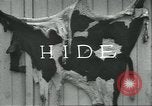Standbild Meat Packing industry United States USA, 1922, aus Sekunde 31 historischem Filmmaterial Videoclip 65675057880