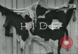 Standbild Meat Packing industry United States USA, 1922, aus Sekunde 32 historischem Filmmaterial Videoclip 65675057880