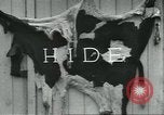 Standbild Meat Packing industry United States USA, 1922, aus Sekunde 33 historischem Filmmaterial Videoclip 65675057880