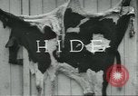 Standbild Meat Packing industry United States USA, 1922, aus Sekunde 34 historischem Filmmaterial Videoclip 65675057880