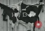 Standbild Meat Packing industry United States USA, 1922, aus Sekunde 35 historischem Filmmaterial Videoclip 65675057880