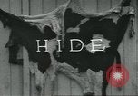 Standbild Meat Packing industry United States USA, 1922, aus Sekunde 36 historischem Filmmaterial Videoclip 65675057880
