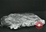 Standbild Meat Packing industry United States USA, 1922, aus Sekunde 51 historischem Filmmaterial Videoclip 65675057880