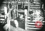 Standbild Meat Packing industry United States USA, 1922, aus Sekunde 14 historischem Filmmaterial Videoclip 65675057881