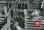 Standbild Meat Packing industry United States USA, 1922, aus Sekunde 15 historischem Filmmaterial Videoclip 65675057881
