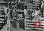 Standbild Meat Packing industry United States USA, 1922, aus Sekunde 17 historischem Filmmaterial Videoclip 65675057881