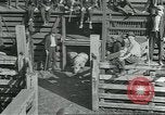 Standbild Meat Packing industry United States USA, 1922, aus Sekunde 18 historischem Filmmaterial Videoclip 65675057881
