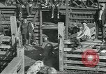 Standbild Meat Packing industry United States USA, 1922, aus Sekunde 21 historischem Filmmaterial Videoclip 65675057881