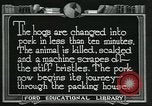 Standbild Meat Packing industry United States USA, 1922, aus Sekunde 22 historischem Filmmaterial Videoclip 65675057881