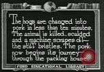 Standbild Meat Packing industry United States USA, 1922, aus Sekunde 24 historischem Filmmaterial Videoclip 65675057881