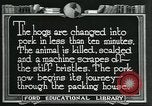Standbild Meat Packing industry United States USA, 1922, aus Sekunde 25 historischem Filmmaterial Videoclip 65675057881