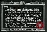 Standbild Meat Packing industry United States USA, 1922, aus Sekunde 26 historischem Filmmaterial Videoclip 65675057881