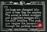 Standbild Meat Packing industry United States USA, 1922, aus Sekunde 28 historischem Filmmaterial Videoclip 65675057881