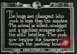 Standbild Meat Packing industry United States USA, 1922, aus Sekunde 29 historischem Filmmaterial Videoclip 65675057881