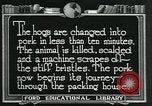 Standbild Meat Packing industry United States USA, 1922, aus Sekunde 32 historischem Filmmaterial Videoclip 65675057881