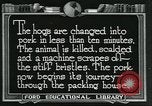 Standbild Meat Packing industry United States USA, 1922, aus Sekunde 33 historischem Filmmaterial Videoclip 65675057881