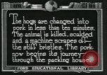 Standbild Meat Packing industry United States USA, 1922, aus Sekunde 35 historischem Filmmaterial Videoclip 65675057881