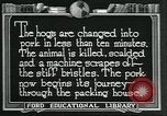 Standbild Meat Packing industry United States USA, 1922, aus Sekunde 38 historischem Filmmaterial Videoclip 65675057881