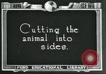 Standbild Meat Packing industry United States USA, 1922, aus Sekunde 50 historischem Filmmaterial Videoclip 65675057881