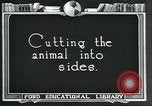 Standbild Meat Packing industry United States USA, 1922, aus Sekunde 51 historischem Filmmaterial Videoclip 65675057881