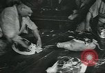 Image d'abattoirs United States USA, 1922, de la seconde 11 séquences d'archives historiques vidéo 65675057882