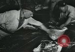 Image d'abattoirs United States USA, 1922, de la seconde 14 séquences d'archives historiques vidéo 65675057882