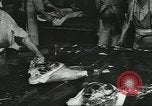 Image d'abattoirs United States USA, 1922, de la seconde 15 séquences d'archives historiques vidéo 65675057882