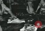 Image d'abattoirs United States USA, 1922, de la seconde 16 séquences d'archives historiques vidéo 65675057882