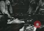 Image d'abattoirs United States USA, 1922, de la seconde 17 séquences d'archives historiques vidéo 65675057882