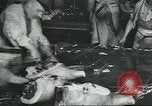 Image d'abattoirs United States USA, 1922, de la seconde 18 séquences d'archives historiques vidéo 65675057882