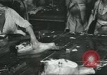 Image d'abattoirs United States USA, 1922, de la seconde 19 séquences d'archives historiques vidéo 65675057882