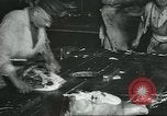 Image d'abattoirs United States USA, 1922, de la seconde 20 séquences d'archives historiques vidéo 65675057882