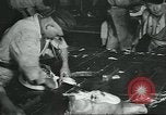 Image d'abattoirs United States USA, 1922, de la seconde 21 séquences d'archives historiques vidéo 65675057882