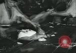 Image d'abattoirs United States USA, 1922, de la seconde 29 séquences d'archives historiques vidéo 65675057882