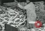 Image d'abattoirs United States USA, 1922, de la seconde 41 séquences d'archives historiques vidéo 65675057882