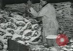 Image d'abattoirs United States USA, 1922, de la seconde 42 séquences d'archives historiques vidéo 65675057882