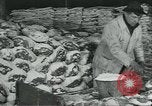 Image d'abattoirs United States USA, 1922, de la seconde 43 séquences d'archives historiques vidéo 65675057882