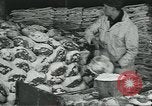 Image d'abattoirs United States USA, 1922, de la seconde 44 séquences d'archives historiques vidéo 65675057882