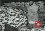 Image d'abattoirs United States USA, 1922, de la seconde 46 séquences d'archives historiques vidéo 65675057882