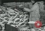 Image d'abattoirs United States USA, 1922, de la seconde 47 séquences d'archives historiques vidéo 65675057882