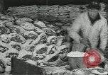 Image d'abattoirs United States USA, 1922, de la seconde 50 séquences d'archives historiques vidéo 65675057882