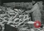Image d'abattoirs United States USA, 1922, de la seconde 51 séquences d'archives historiques vidéo 65675057882