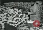 Image d'abattoirs United States USA, 1922, de la seconde 52 séquences d'archives historiques vidéo 65675057882